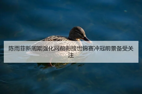 陈雨菲新周期强化网前衔接世锦赛冲冠前景备受关注