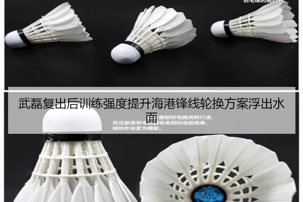 武磊复出后训练强度提升海港锋线轮换方案浮出水面
